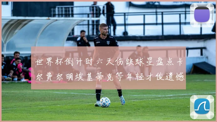 世界杯倒计时六天伤缺球星盘点卡尔费尔明埃基蒂克等年轻才俊遗憾缺席